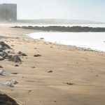 Guðlaug 2024 4 Guðlaug